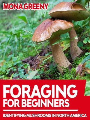 cover image of Foraging For Beginners